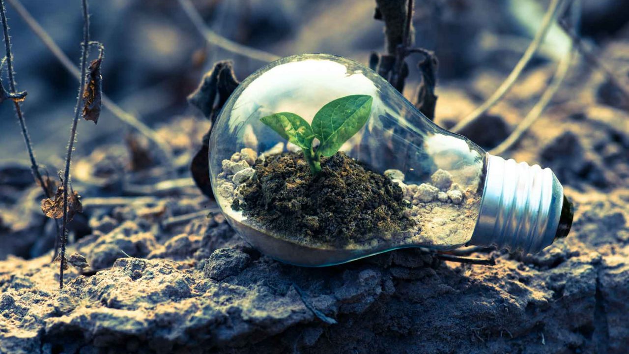 Climate Resilience and Energy transition in Africa