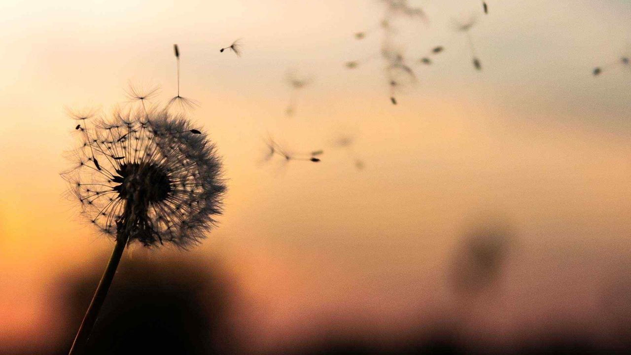 Business and mental health problems
